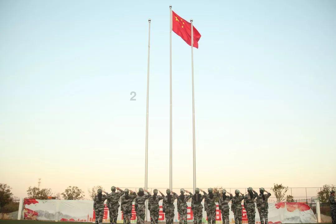 探索为什么那么多人讨厌吃香菜,解决疑惑、分享知识